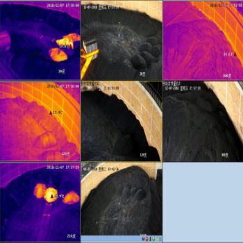 ú̿I(y)y(c)ؑ(yng)÷